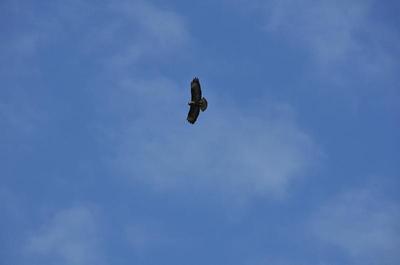 DSC_4818.JPG