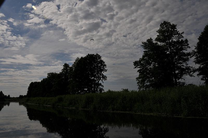 DSC_4971.JPG