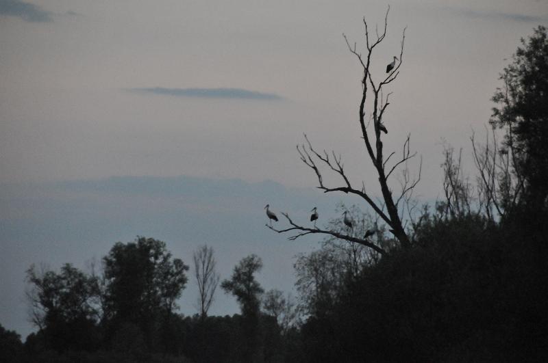 DSC_5032.JPG
