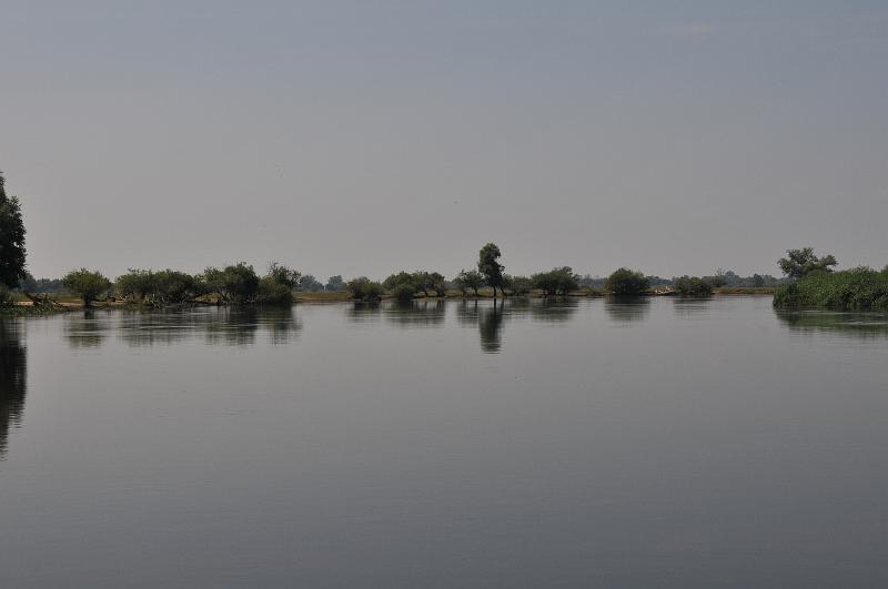 DSC_5085.JPG