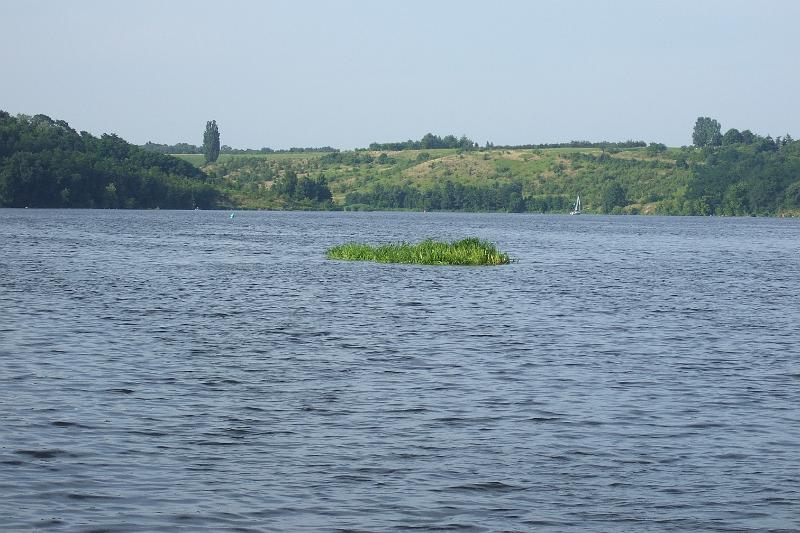 DSCF4312.JPG