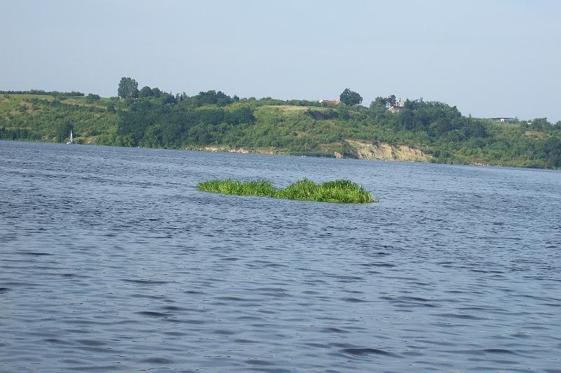 DSCF4313.JPG