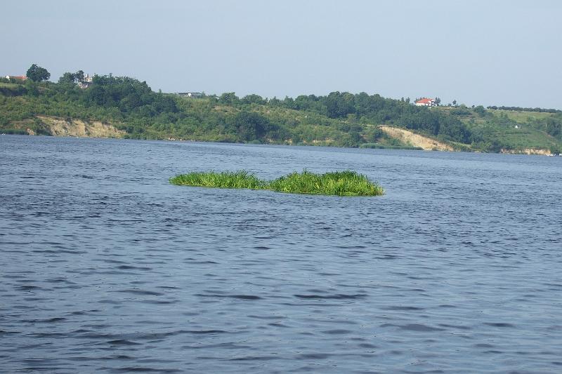 DSCF4314.JPG