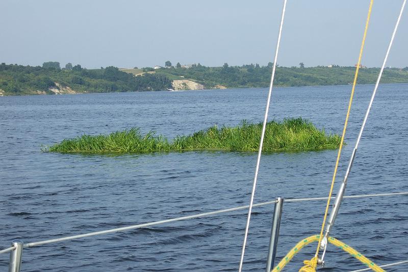 DSCF4316.JPG
