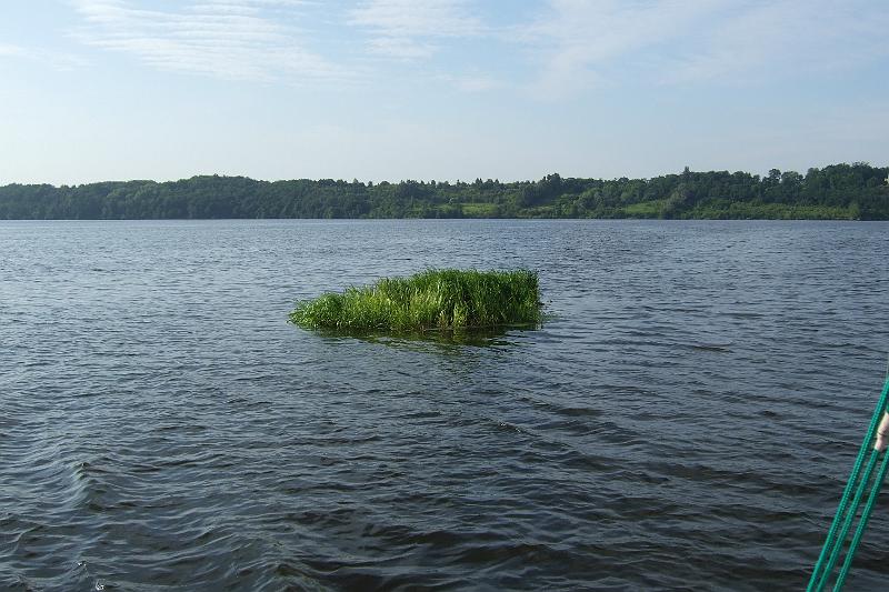 DSCF4319.JPG