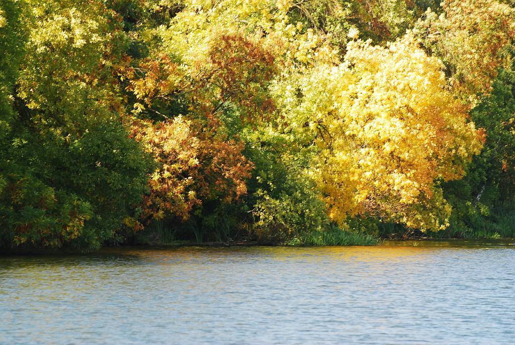 DSC_4497.JPG