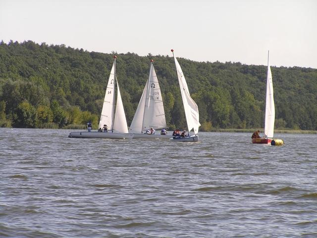 tn_P8311341.JPG