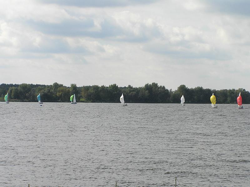 P9100081.JPG