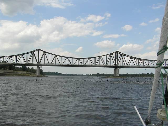 tn_P7013236.JPG