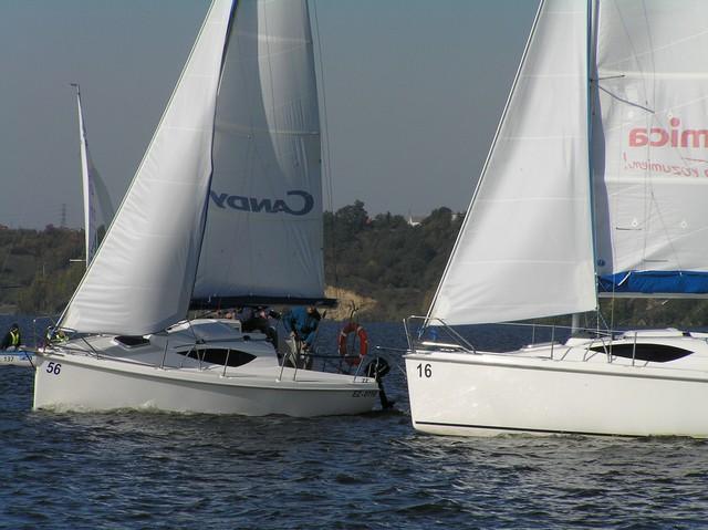 d_PA052530.JPG
