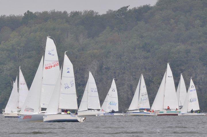 tn_DSC_6444.JPG
