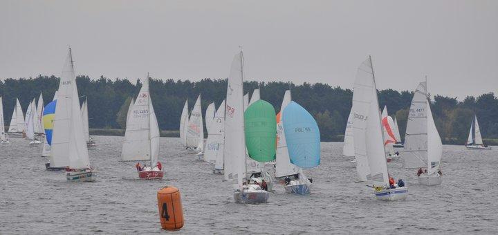 tn_DSC_6881.JPG