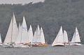 tn_DSC_6442