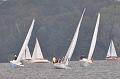 tn_DSC_6464