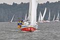 tn_DSC_6541