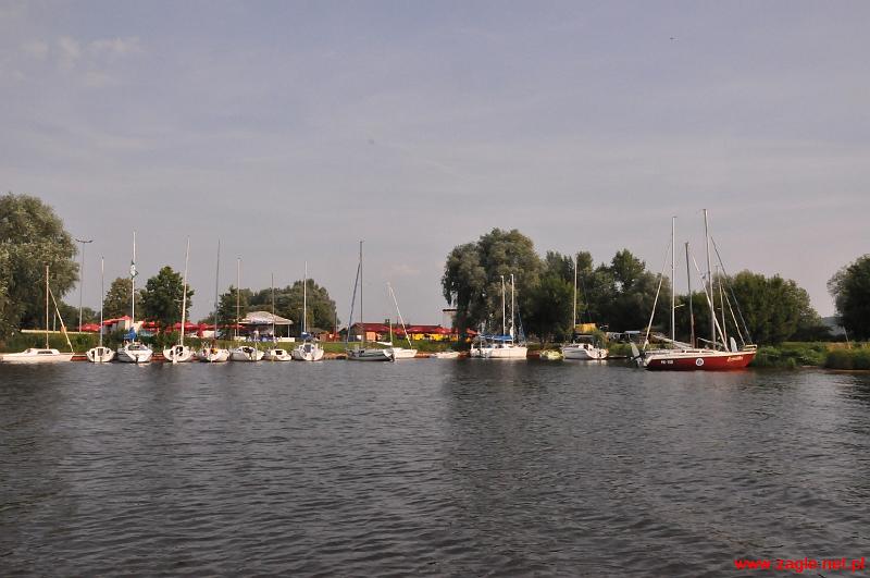 DSC_9495.jpg