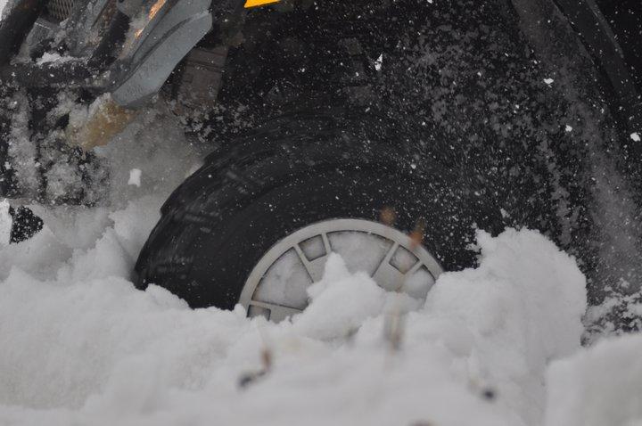 tn_DSC_1023.JPG