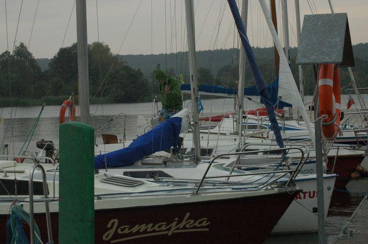 tn_DSC_6005.JPG