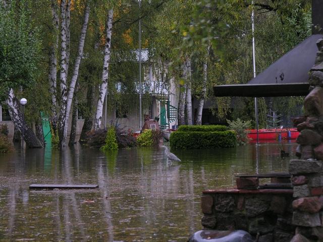 tn_003.JPG