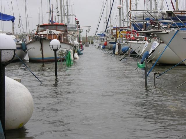 tn_008.JPG