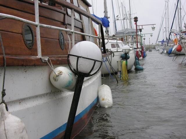 tn_010.JPG